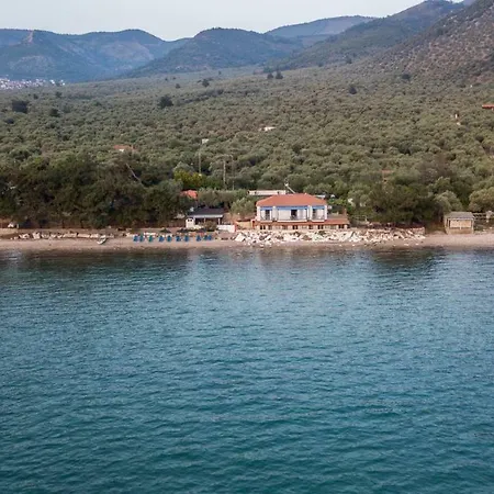 Plaka شقة فندقية